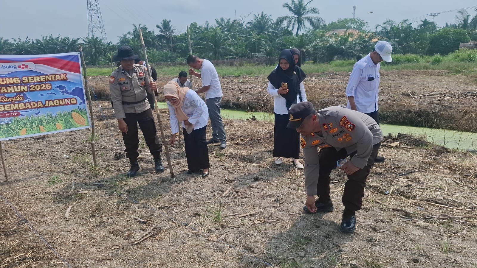 Kapolsek Batu Hampar Pimpin Langsung Penanaman Jagung 2 Hektare