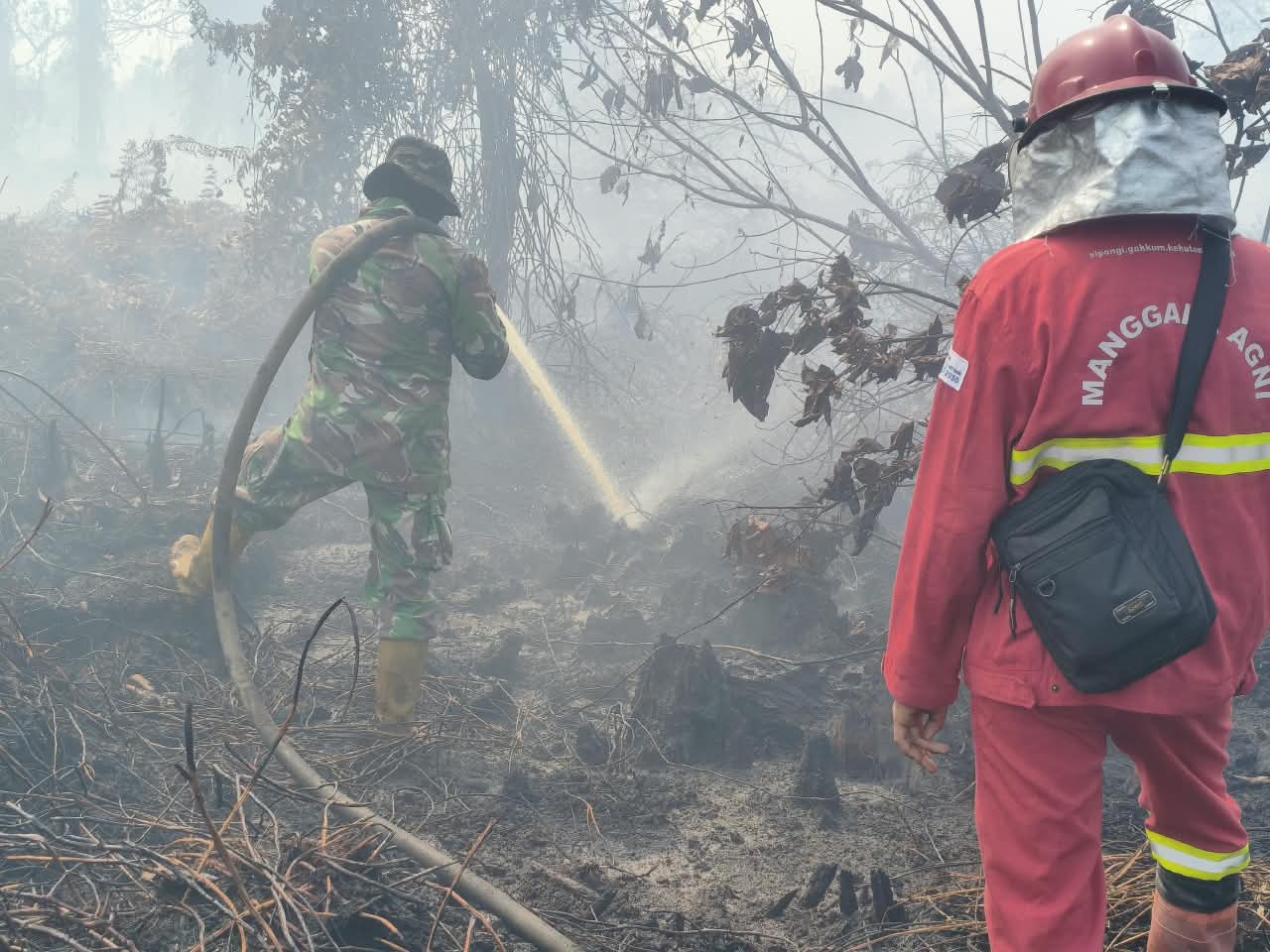 Koramil 07 Kodim 0313/Kampar Gencarkan Pemadaman Karhutla Secara Masif