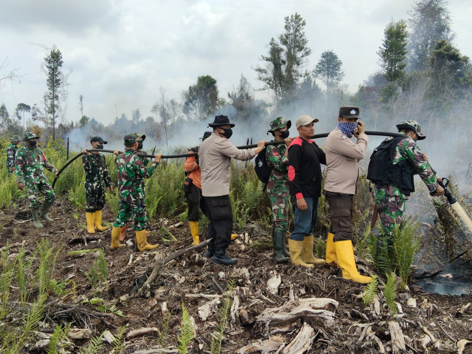 Kodam XIX/Tuanku Tambusai Jaga Penanganan Karhutla Bengkalis, Pendinginan Berlanjut di Lahan Gambut