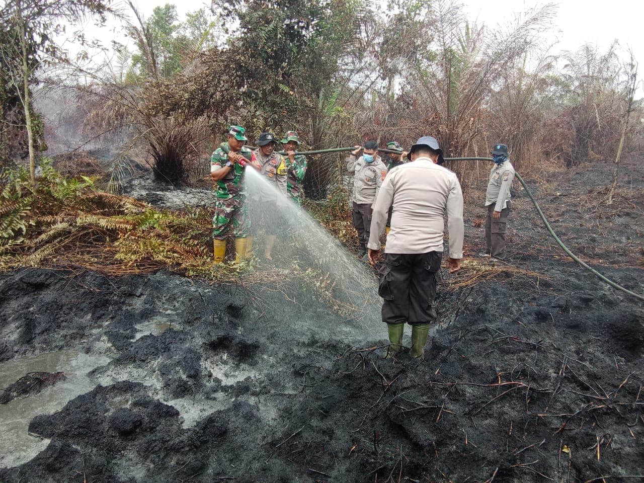 Kodam XIX/Tuanku Tambusai Intensifkan Pendinginan Karhutla di Tiga Lokasi, Puluhan Hektare Lahan Ditangani